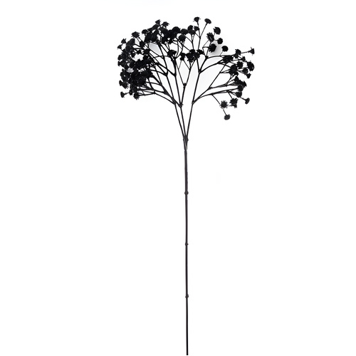 Black Gypsophila  Filler