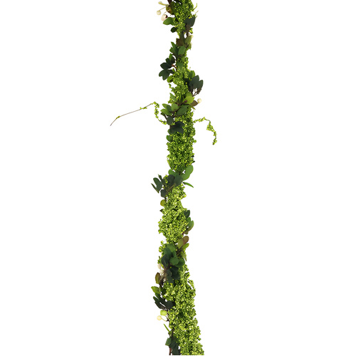 Green Pepper Garland