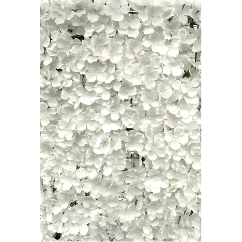 Hydrangea Panel