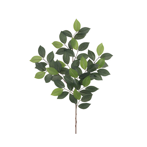 Camellia Leaf Spray x 56 leaves