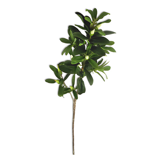 Camellia Spray with Buds