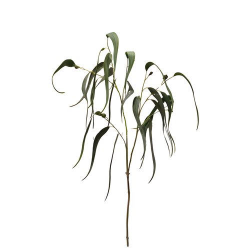 Natural Look Eucalyptus Spray