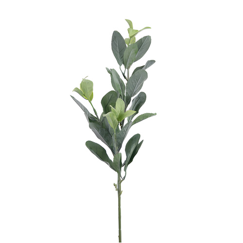 Dusty Green Leaf Spray