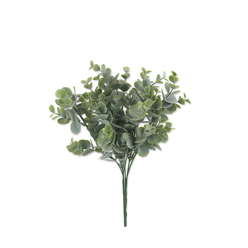 Eucalyptus Spray