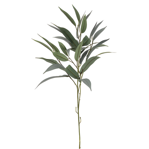 Long Leaf Eucalyptus Spray