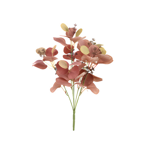 Eucalyptus Bush