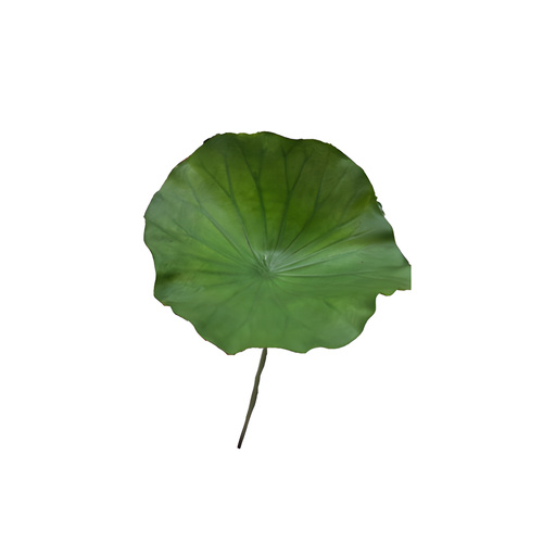 Deluxe Lotus Leaf