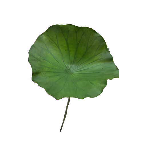 Deluxe Lotus Leaf
