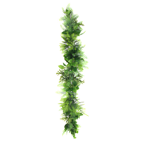 Greenery Trail - FERN