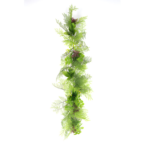 Greenery Trail - MAIDEN HAIR