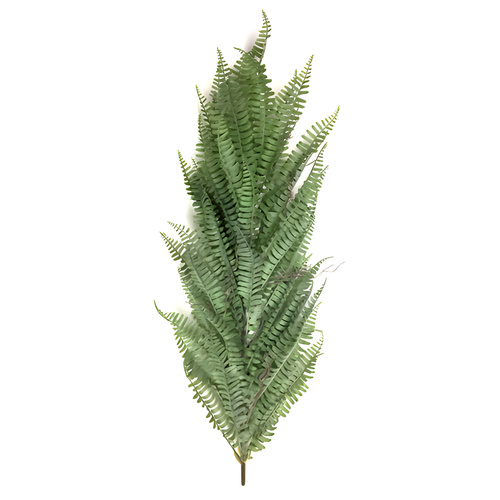 Hanging Grass Fern Bush