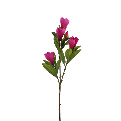 Magnolia X 4 Head