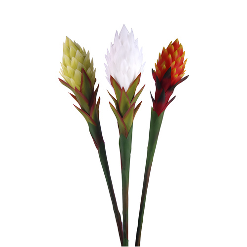 Pointy Poker - White