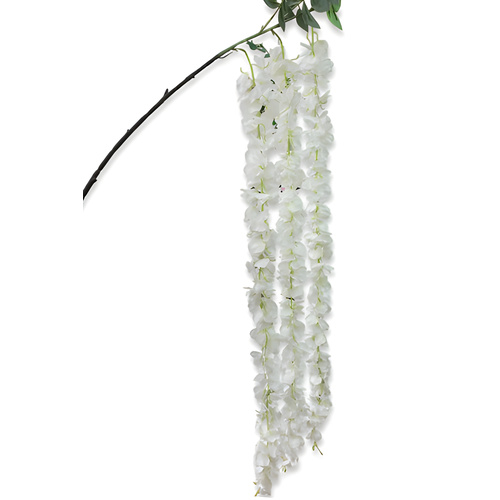 Trailing Wisteria Spray x 3