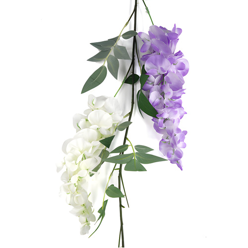 Wisteria Trail
