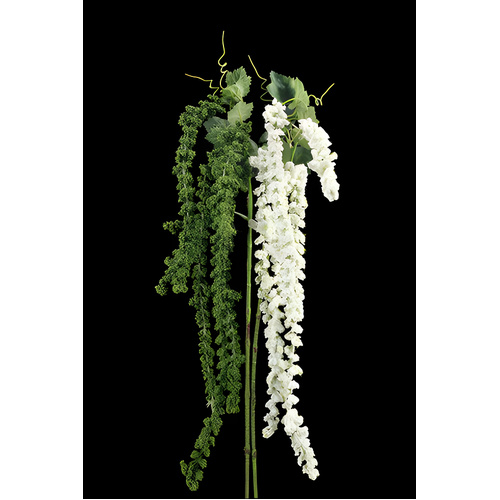 Amaranthus Trail in white